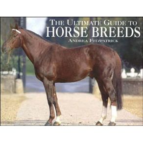 537766_ampliada.jpg 537766_ampliada.jpg