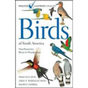 518710_vitrine.jpg 518710_vitrine.jpg