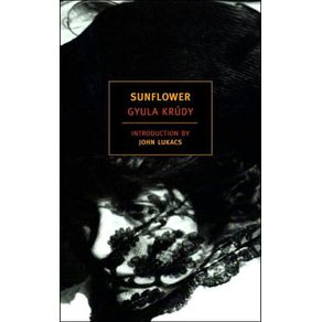 519055_ampliada.jpg 519055_ampliada.jpg