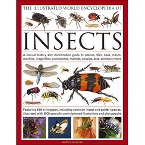 523309_ampliada.jpg 523309_ampliada.jpg