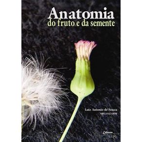 523564_ampliada.jpg 523564_ampliada.jpg