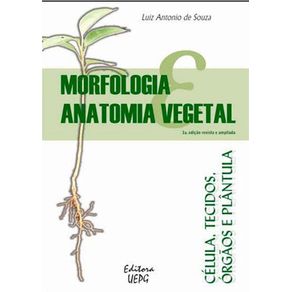 523588_ampliada.jpg 523588_ampliada.jpg