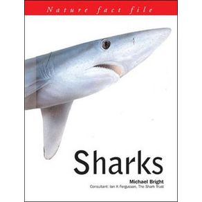 523453_ampliada.jpg 523453_ampliada.jpg