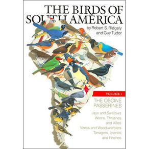 523971_ampliada.jpg 523971_ampliada.jpg