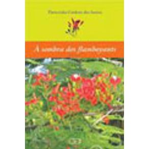 526850_vitrine.jpg 526850_vitrine.jpg